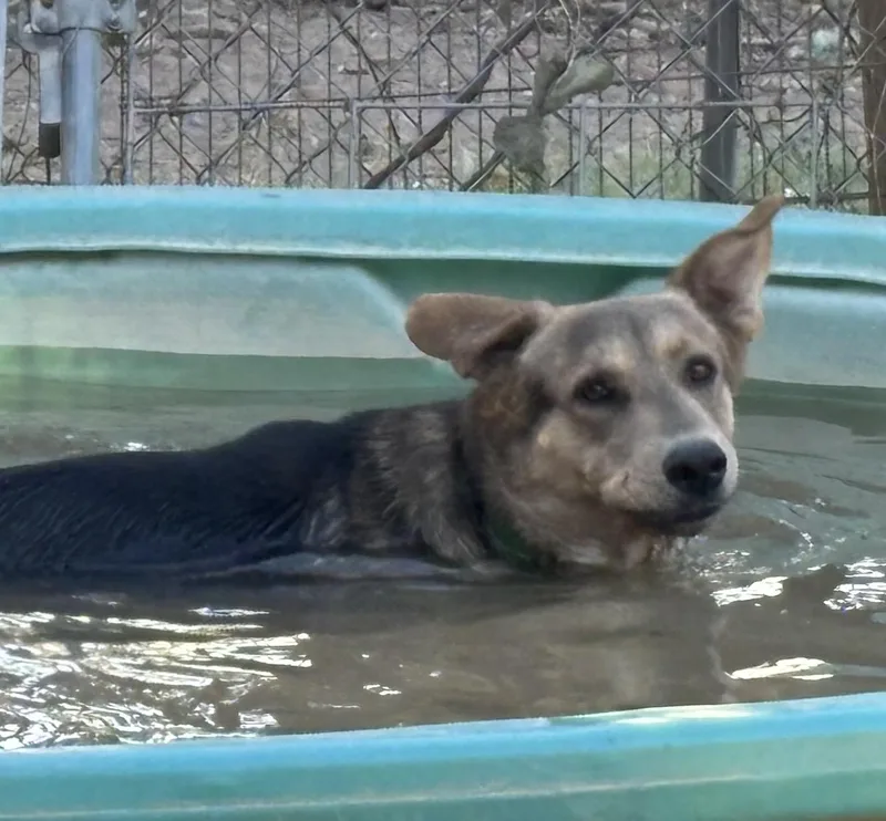 Mugsy thumbnail 3