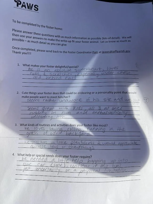 Sher Khan Aka Ted thumbnail 2