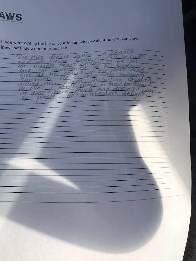 Sher Khan Aka Ted thumbnail 3