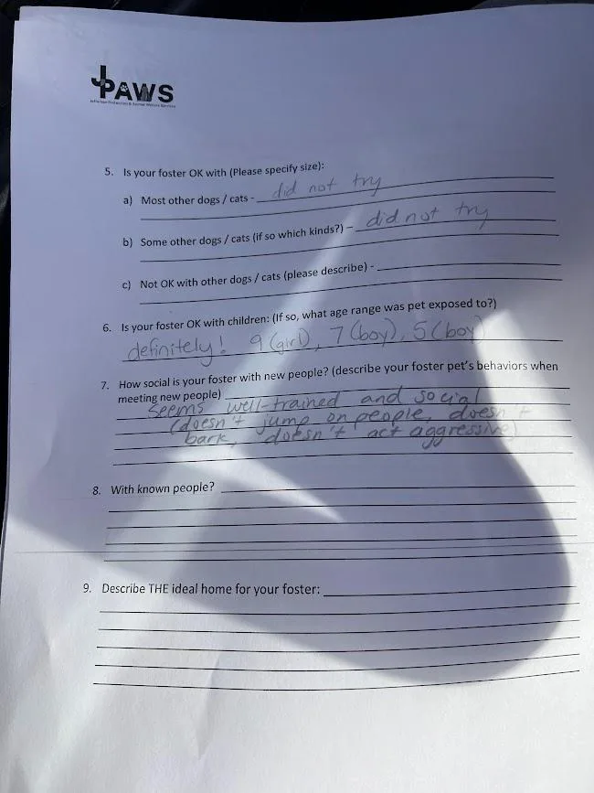 Sher Khan Aka Ted thumbnail 5