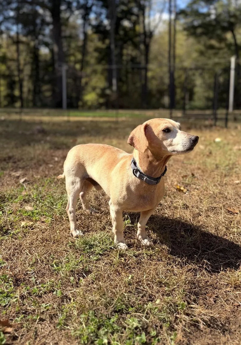 Buster thumbnail 3