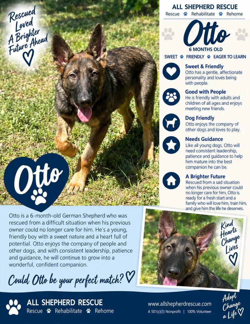 Otto