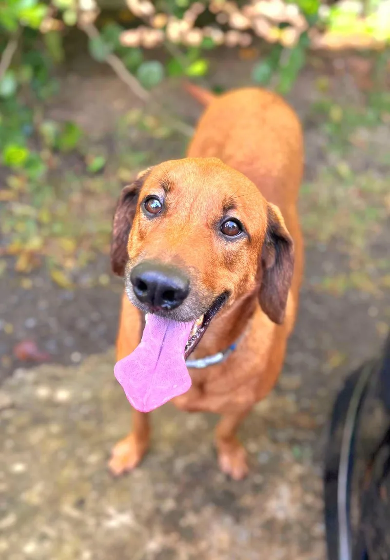 Harry "i Love You thumbnail 2