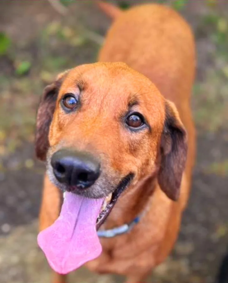 Harry "i Love You thumbnail 3