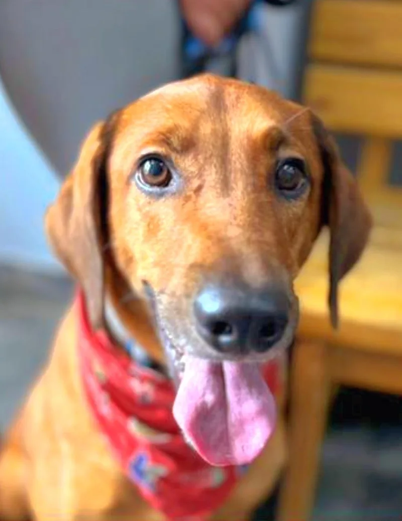 Harry "i Love You thumbnail 4