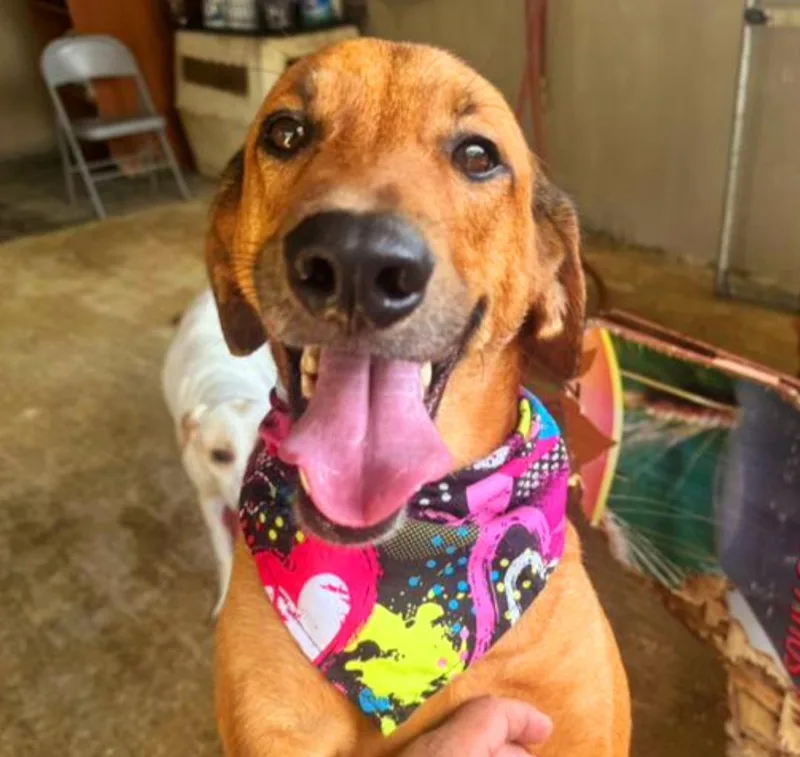 Harry "i Love You thumbnail 5