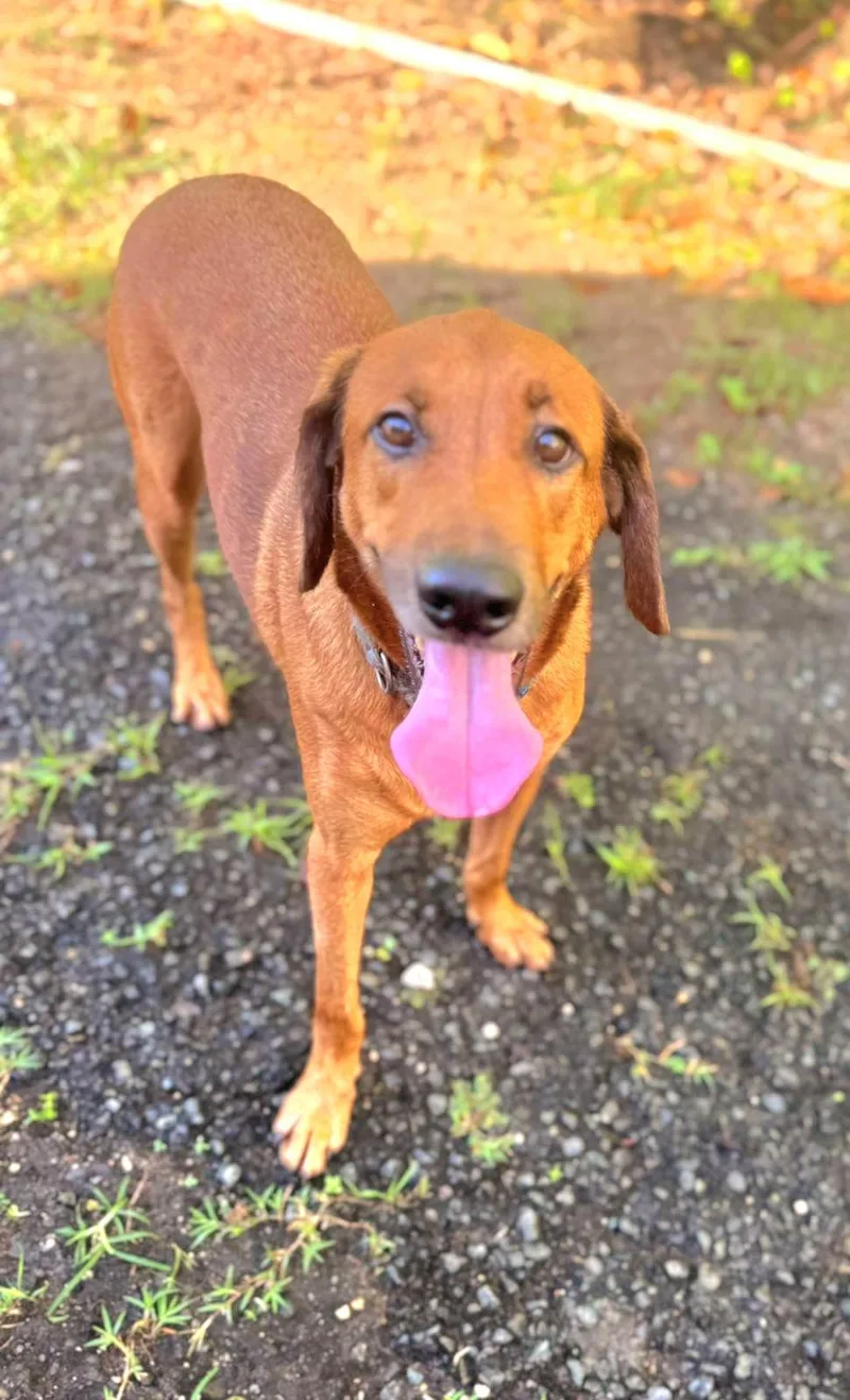 Harry "i Love You thumbnail 6