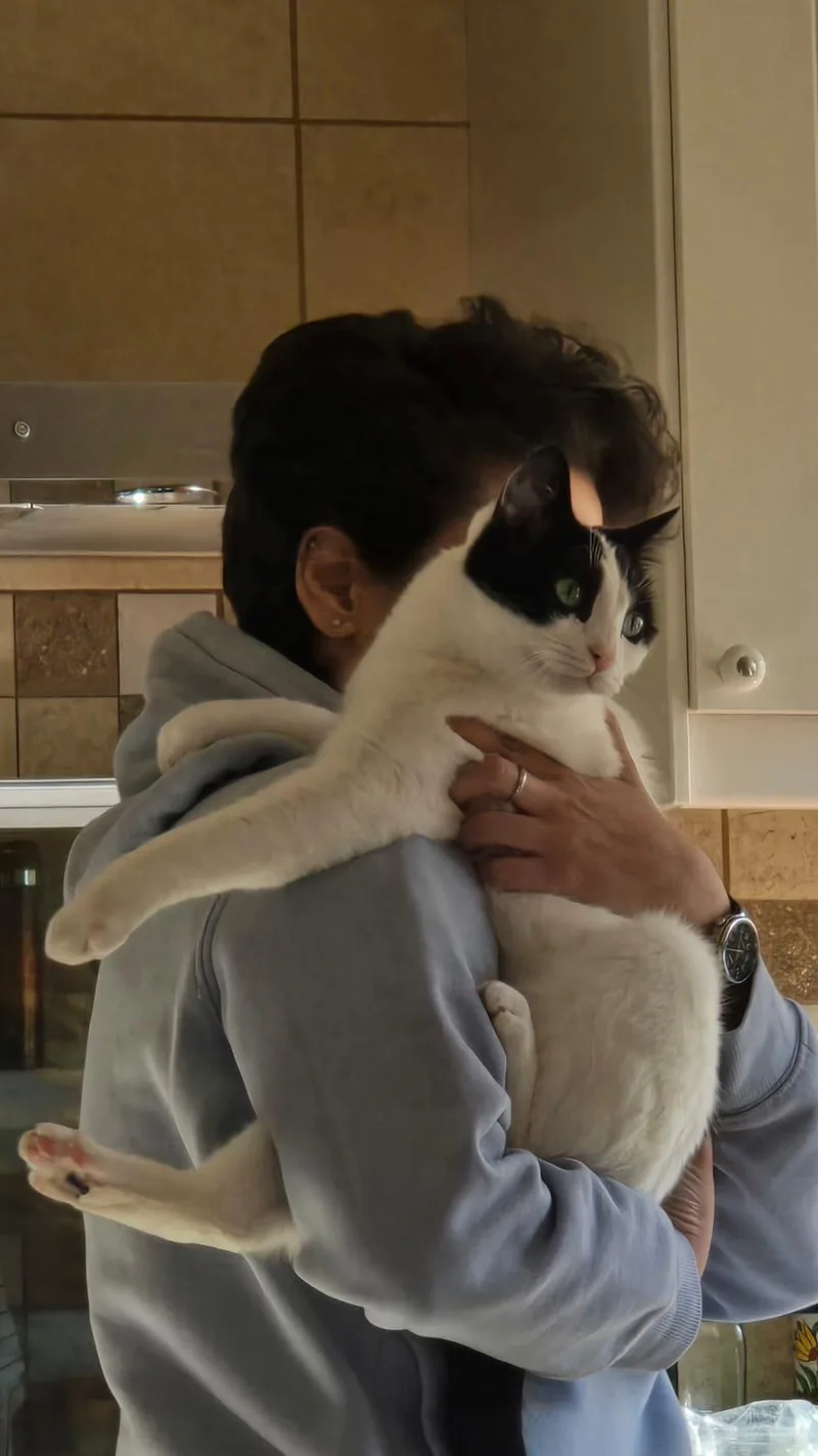 Beans  The Sweetest thumbnail 3