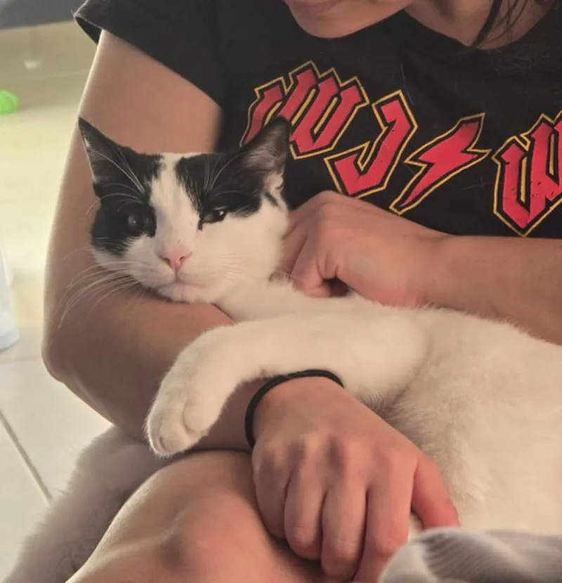 Beans  The Sweetest thumbnail 4