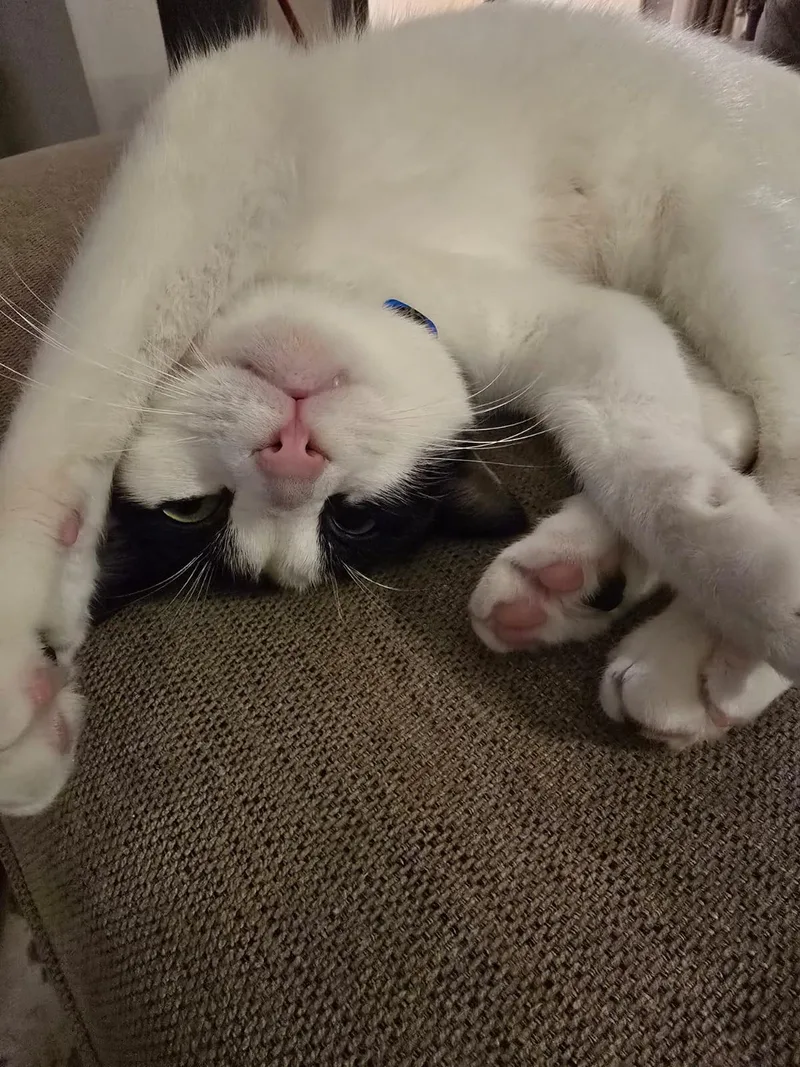 Beans  The Sweetest thumbnail 5