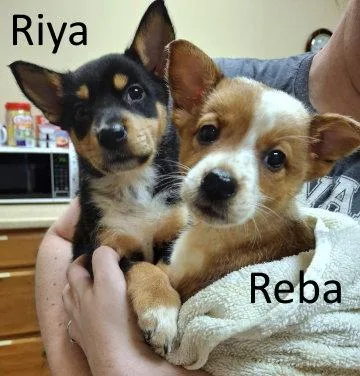 Riya thumbnail 2