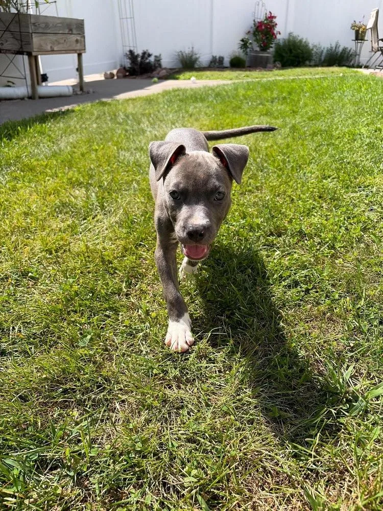 Walter