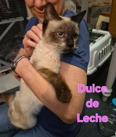 Dulce de Leche thumbnail 3