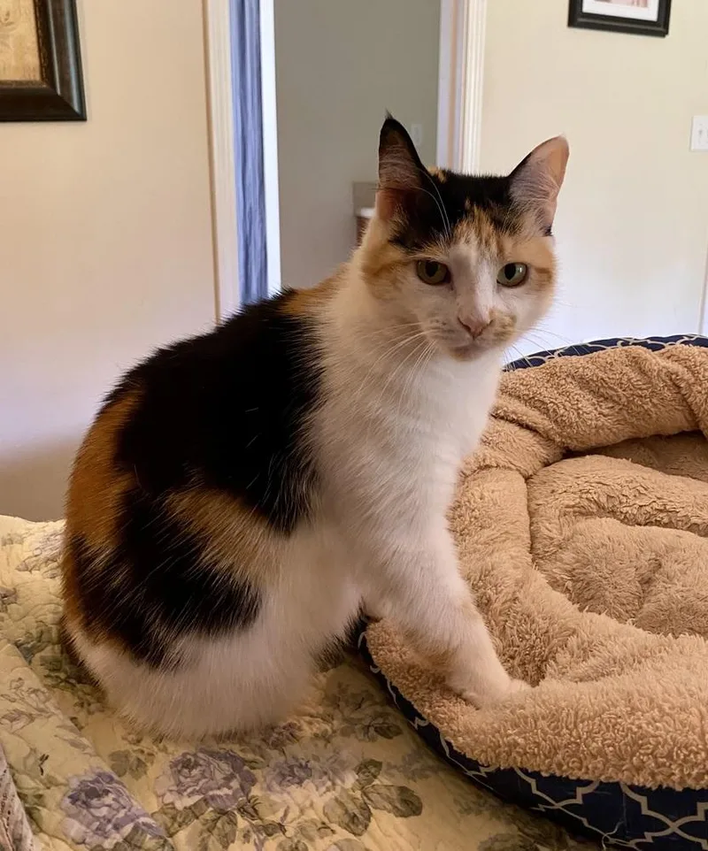 Samantha Rc thumbnail 6