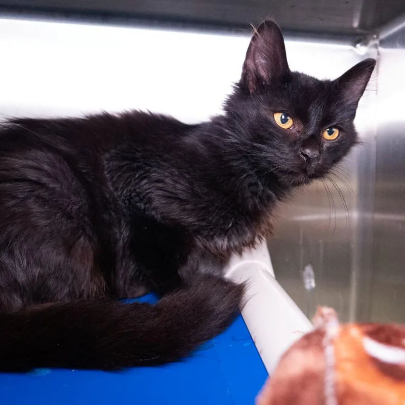 Page thumbnail 3