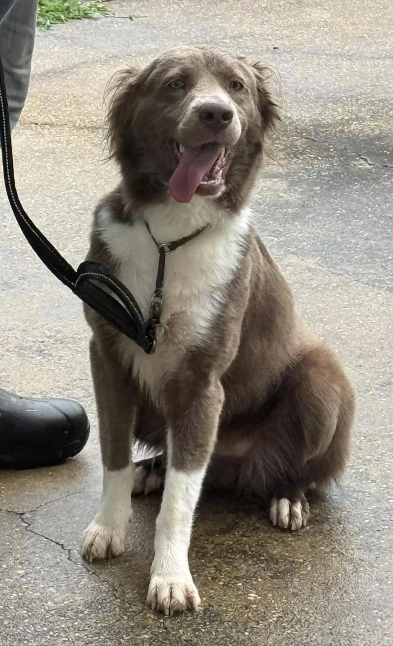 Vera