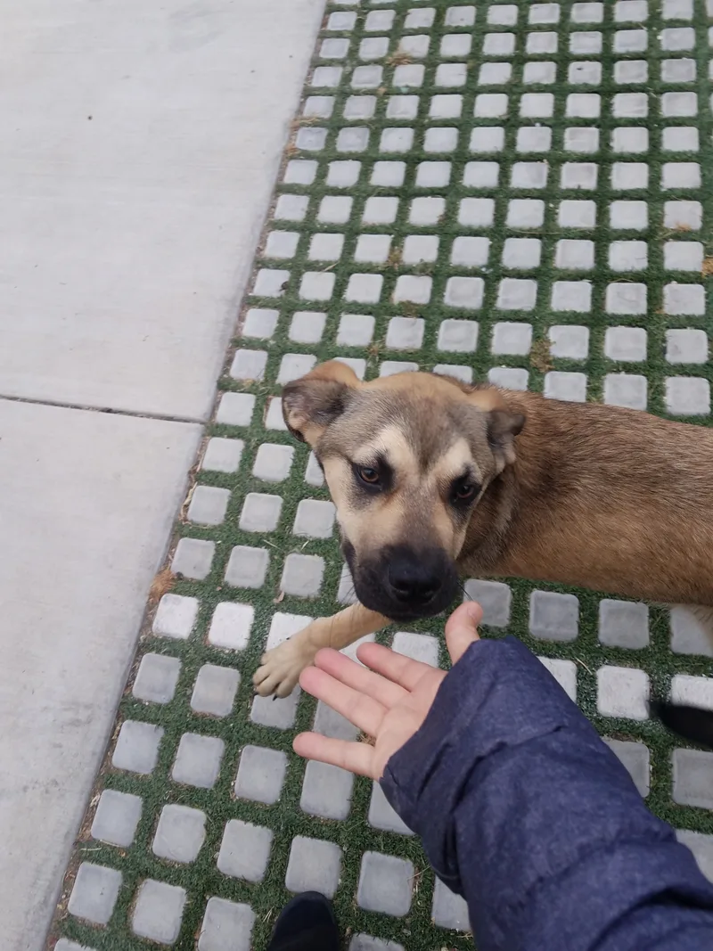 Theo!! Lilly!! thumbnail 2