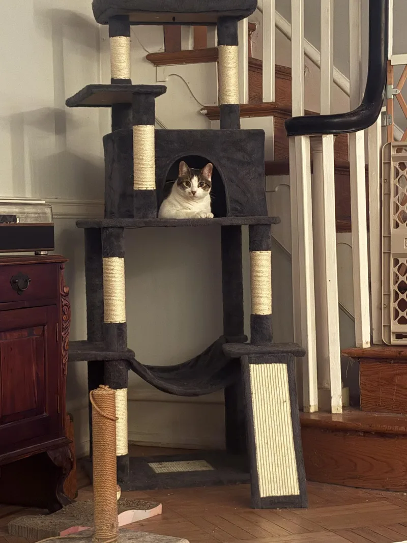 Iris Wakefield thumbnail 2