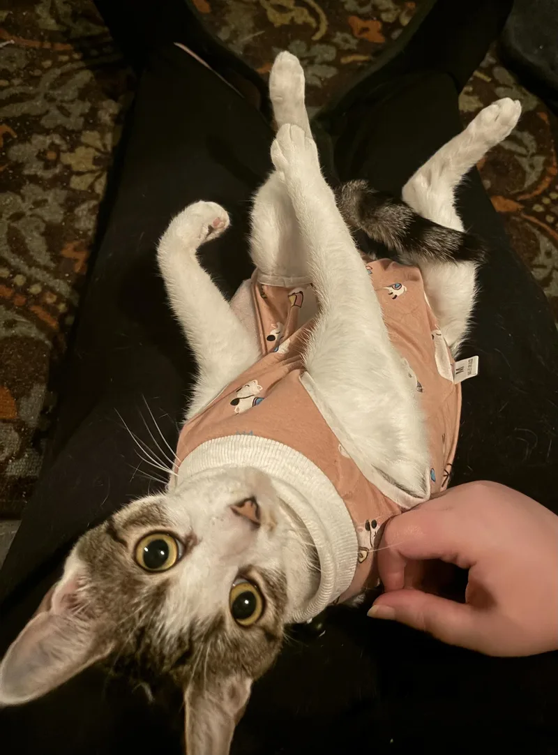 Iris Wakefield thumbnail 3