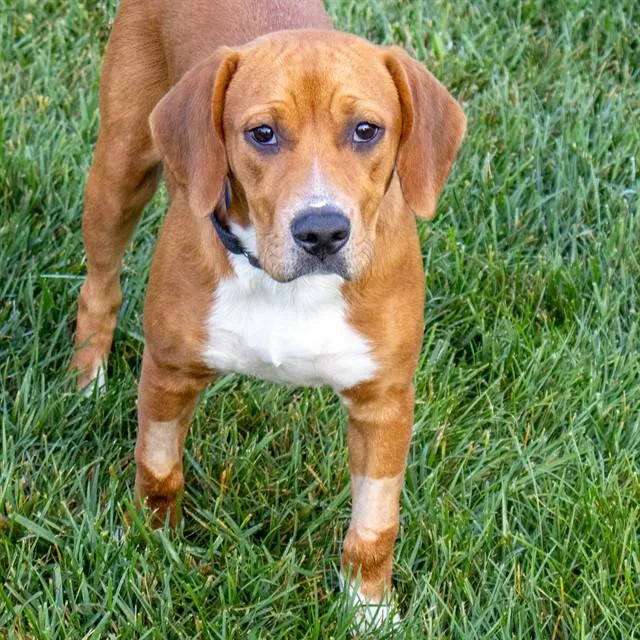 Wilma