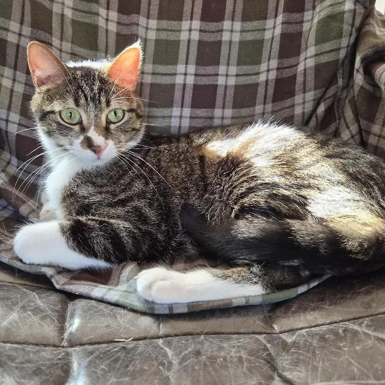 Crash thumbnail 5