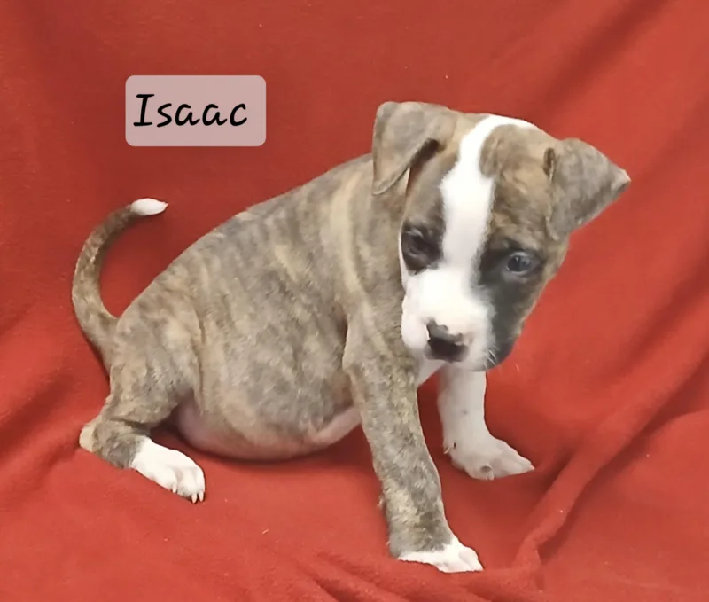 Isaac thumbnail 2