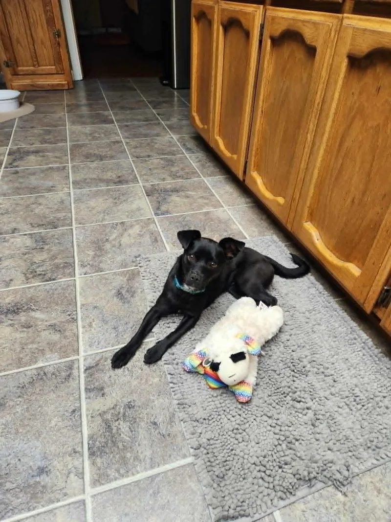 Zoe