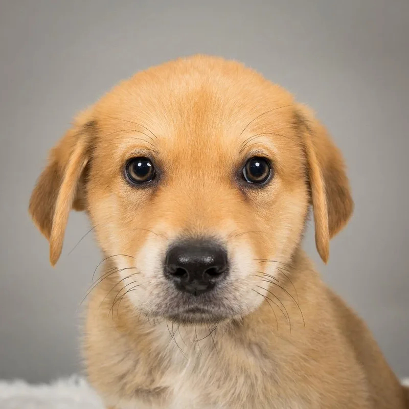 Sundance Kid thumbnail 2