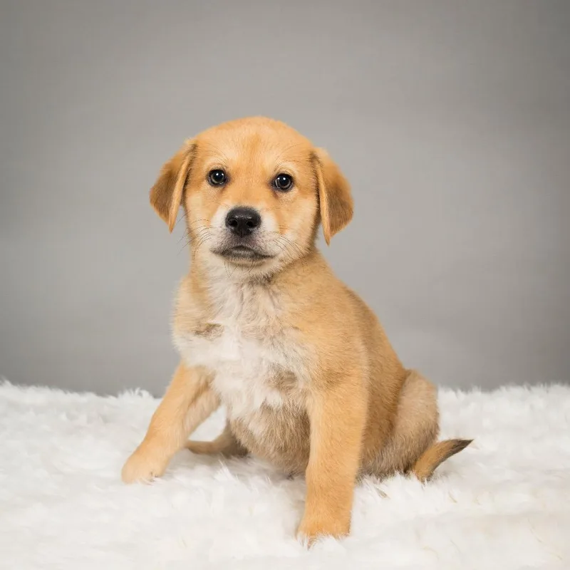 Sundance Kid thumbnail 3