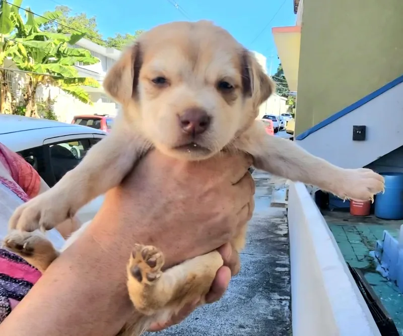 Daniella "the Forever Love thumbnail 2