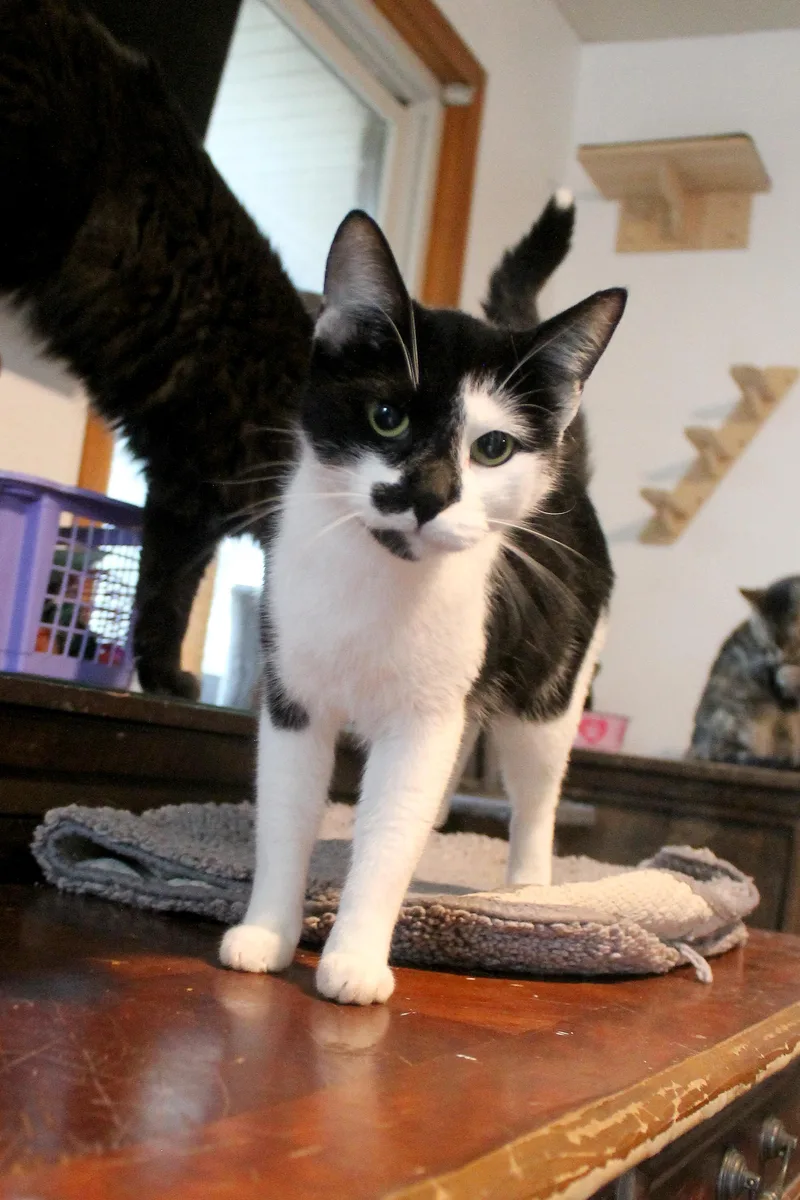 Rosie thumbnail 2