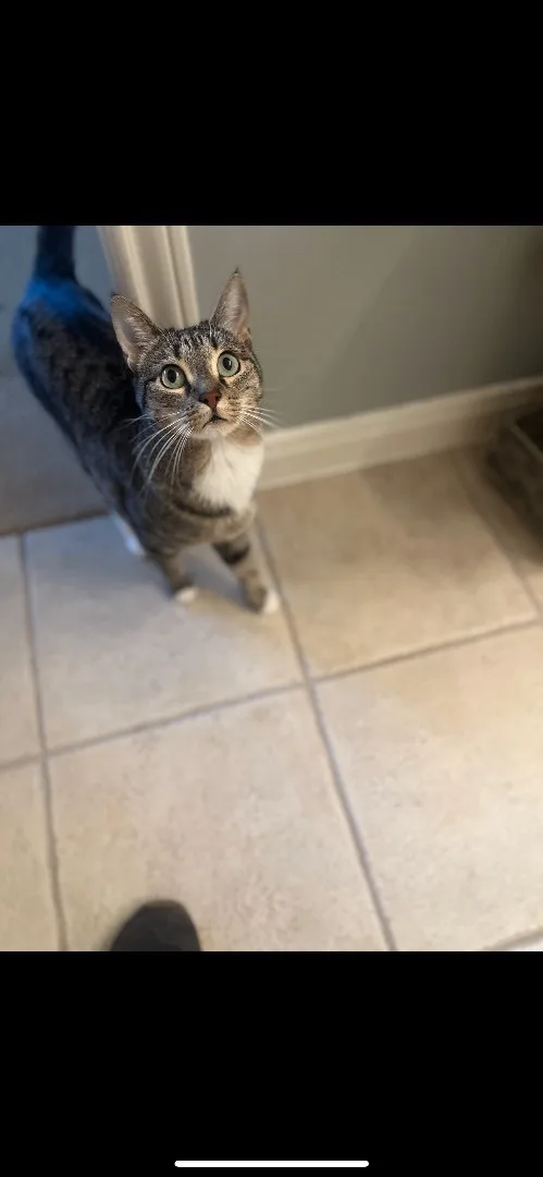 Scooby & Sophie & thumbnail 3