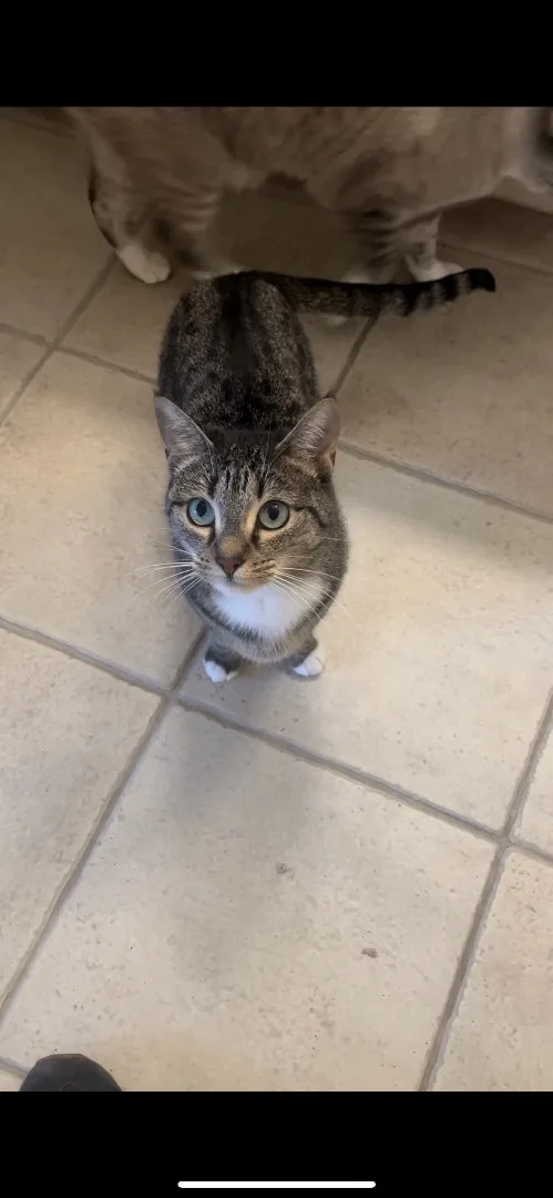 Scooby & Sophie & thumbnail 5