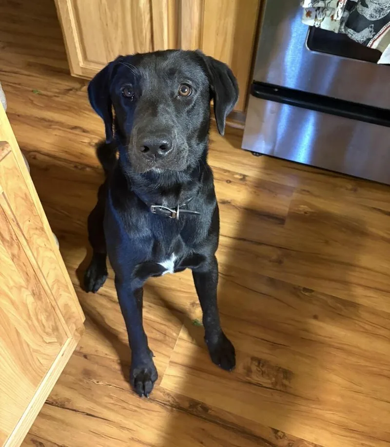 Jack