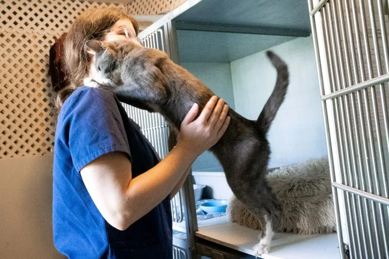 Maverick thumbnail 6