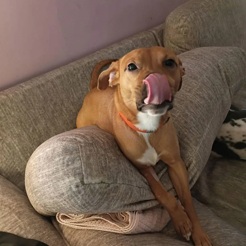 Toblerone thumbnail 2