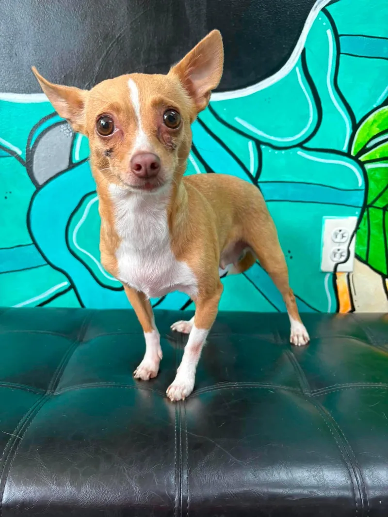 Chloe thumbnail 2