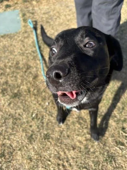 Charlotte thumbnail 3