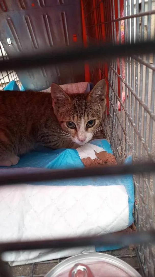 Destinee thumbnail 3