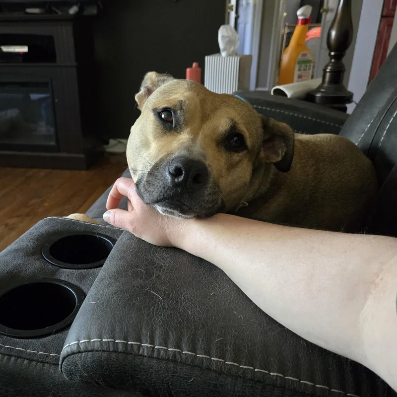 Betty thumbnail 6
