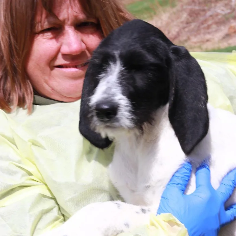 Ct Dizzy thumbnail 3