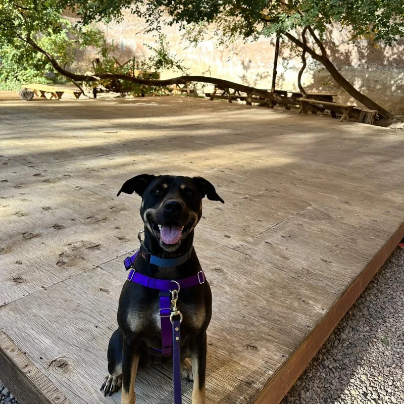 Virginia thumbnail 2