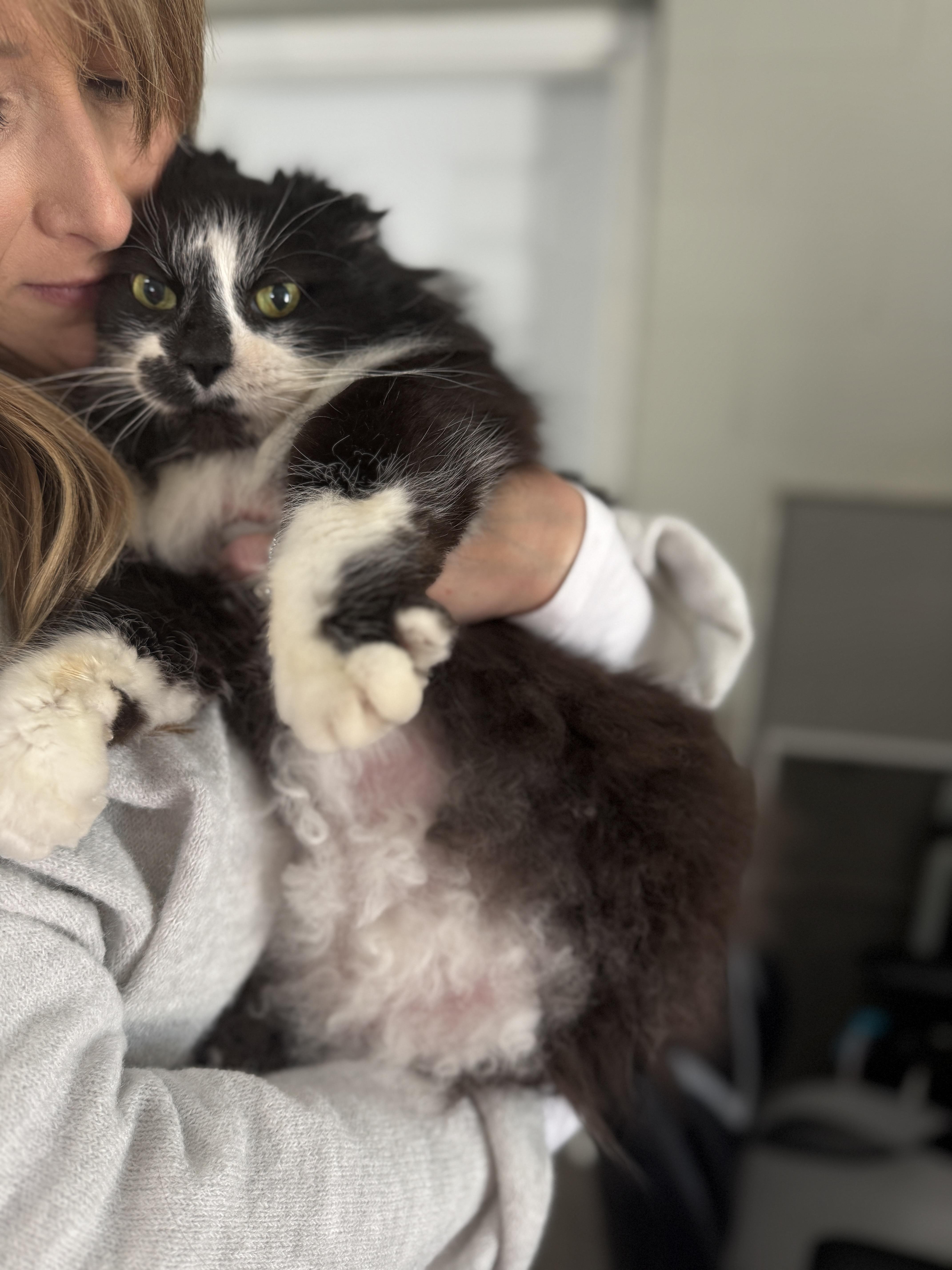 Big Bubba thumbnail 2