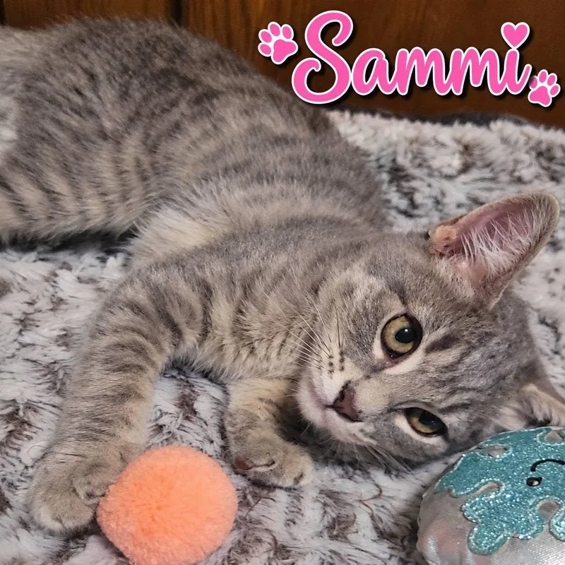 Sammi thumbnail 4