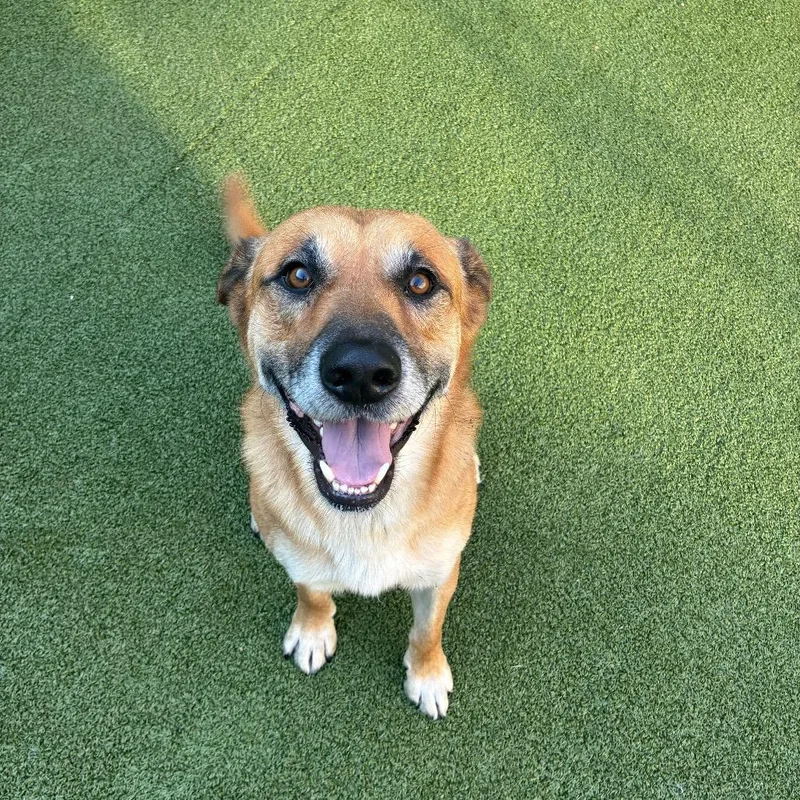 Chester