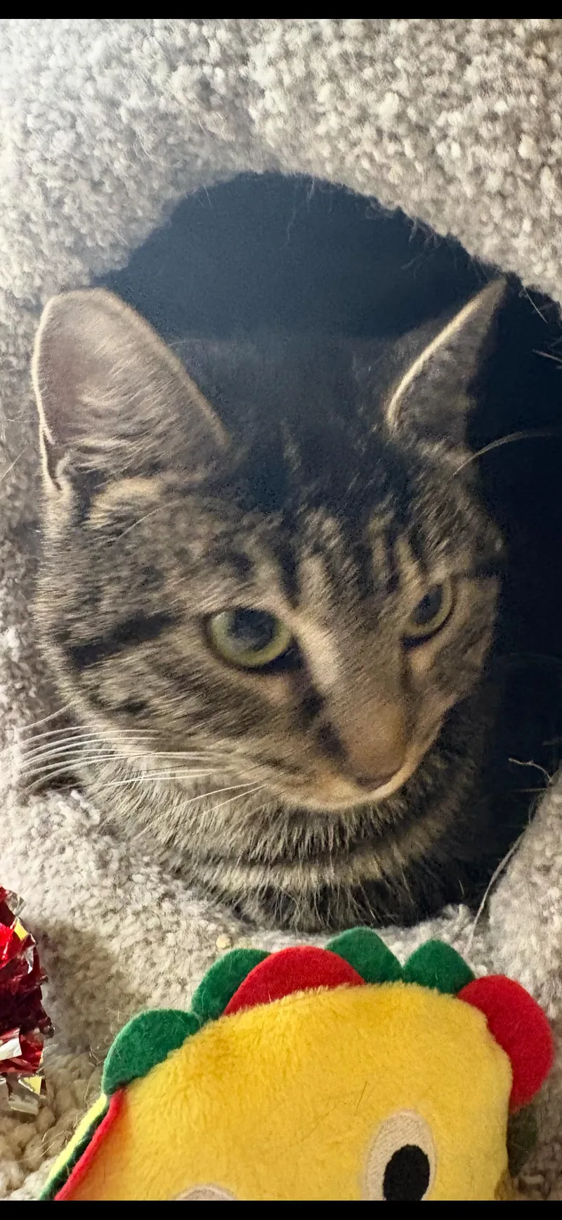 Hannah & Clara thumbnail 2