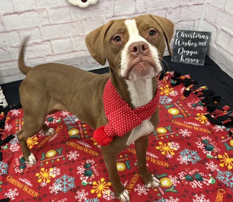 Karen Wheeler thumbnail 2