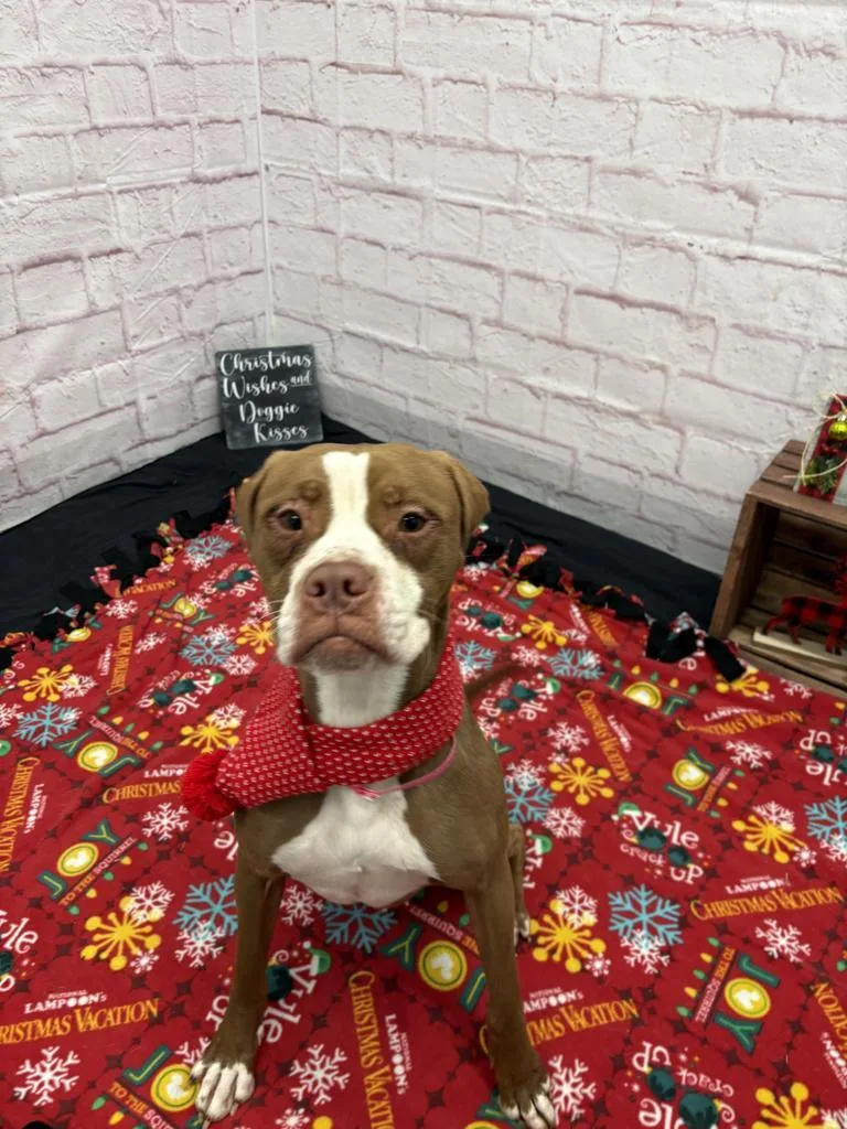 Karen Wheeler thumbnail 3