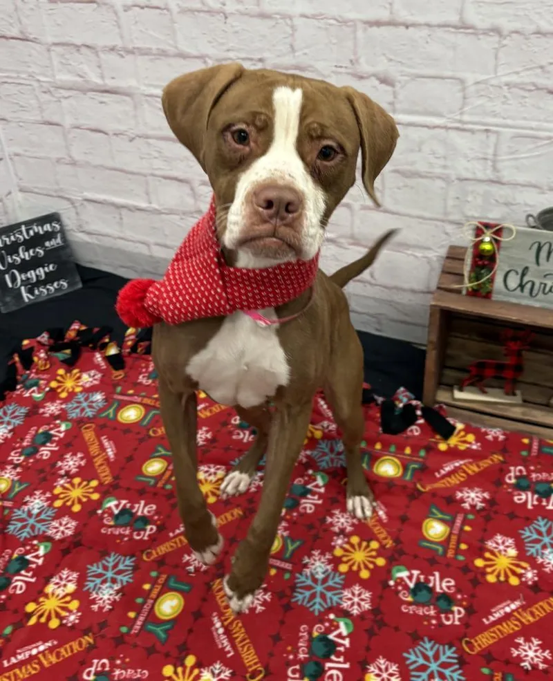 Karen Wheeler thumbnail 4