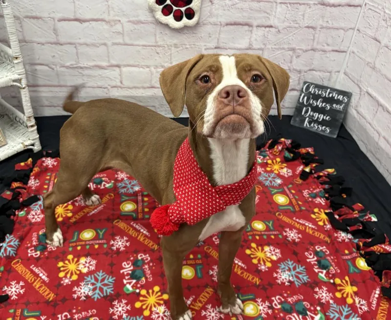 Karen Wheeler thumbnail 5